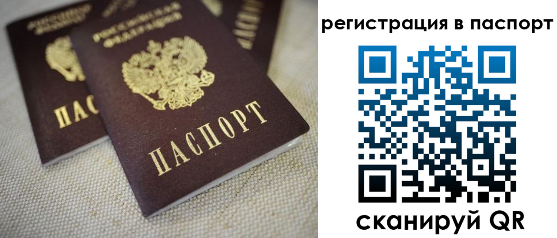прописка гарантия в Зее